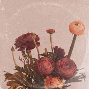 欧美人妻双飞一区二区视频
